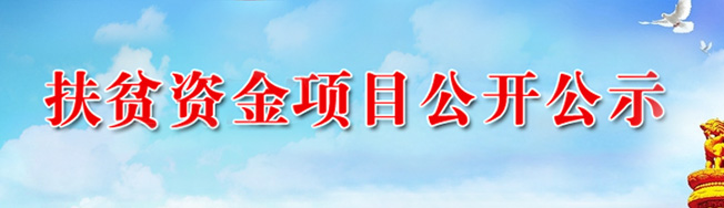 扶貧資金項目公開公示